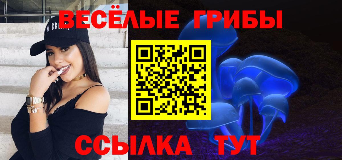 Тихорецк  Псилоцибиновые грибы прущие грибы  Вход с VPN 